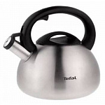 Чайник металлический Tefal C7921024 2.5л. серебристый