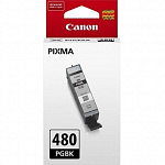 Canon Картридж струйный PGI-480 PGBK 2077C001 черный 11.2мл для Canon Pixma TS6140/TS8140TS/TS9140/TR7540/TR8540