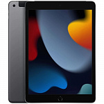 Apple iPad 10.2-inch 2021 Wi-Fi + Cellular 256GB - Space Gray MK693LL/A
